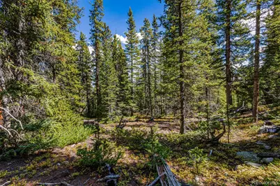 245 El Lobo Lane, Fairplay, CO 80440 - Photo 22