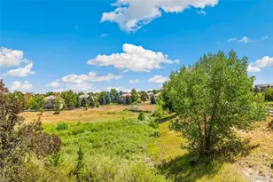 9178 S Cedar Hill Way, Lone Tree, CO 80124 - Photo 26