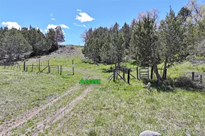 555 Glenarm Avenue, Collbran, CO 81624 - Photo 4
