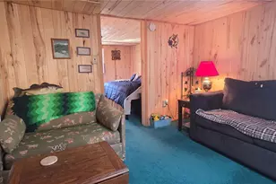 43151 Cr-397, Granite, CO 81228 - Photo 14