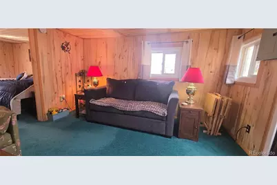 43151 Cr-397, Granite, CO 81228 - Photo 12