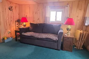 43151 Cr-397, Granite, CO 81228 - Photo 12