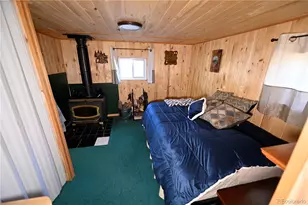 43151 Cr-397, Granite, CO 81228 - Photo 18