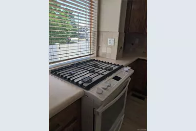 5410 Netherland Street, Denver, CO 80249 - Photo 16