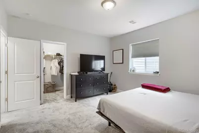 7013 Mentha Drive, Castle Rock, CO 80108 - Photo 34