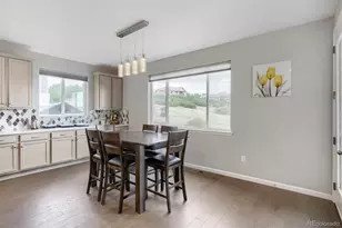 7013 Mentha Dr, Castle Rock, CO 80108 - Photo 16