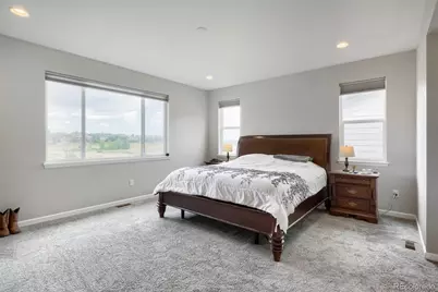 7013 Mentha Drive, Castle Rock, CO 80108 - Photo 26