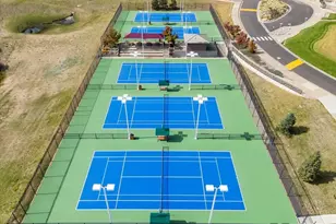 9421 Crestmore Way, Highlands Ranch, CO 80126 - Photo 42