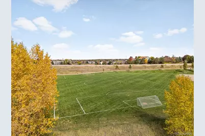 9421 Crestmore Way, Highlands Ranch, CO 80126 - Photo 44