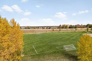 9421 Crestmore Way, Highlands Ranch, CO 80126 - Photo 44