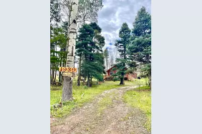 1939 Korlkoff Lane, Fort Garland, CO 81133 - Photo 4