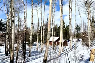 1939 Korlkoff Ln, Fort Garland, CO 81133 - Photo 18