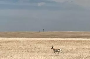 60106 Co Rd 21, Carr, CO 80612 - Photo 20