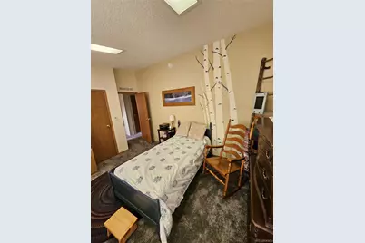 462 Bonell Drive, Fairplay, CO 80440 - Photo 16