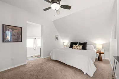 3010 N Williams Street, Denver, CO 80205 - Photo 24