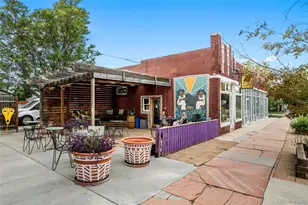 3010 N Williams St, Denver, CO 80205 - Photo 50