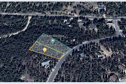 848 Baby Doe Drive, Leadville, CO 80461 - Photo 8