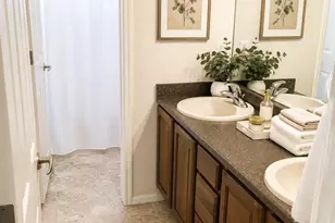 899 Tarpan Pl, Castle Rock, CO 80104 - Photo 24