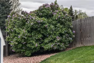 1786 Wintergreen Pl, Loveland, CO 80537 - Photo 38