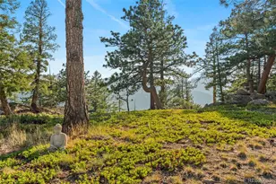 9831 S Warhawk Rd, Conifer, CO 80433 - Photo 6