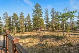 9831 S Warhawk Rd, Conifer, CO 80433 - Photo 36