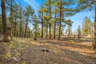 9831 S Warhawk Rd, Conifer, CO 80433 - Photo 42
