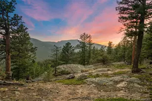 9831 S Warhawk Rd, Conifer, CO 80433 - Photo 4