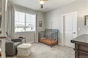 146 Kitselman Dr, Castle Rock, CO 80104 - Photo 30