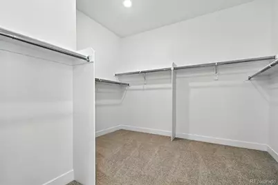 3428 Backdrop Court, Castle Rock, CO 80108 - Photo 22