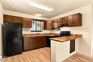 217 Catamount Ridge Rd, Bailey, CO 80421 - Photo 10