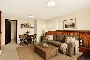 217 Catamount Ridge Rd, Bailey, CO 80421 - Photo 8