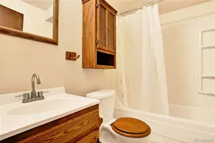 217 Catamount Ridge Rd, Bailey, CO 80421 - Photo 36
