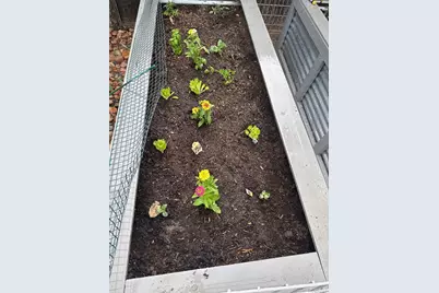 6885 W 69 Place, Arvada, CO 80003 - Photo 32