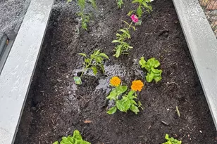 6885 W 69th Pl, Arvada, CO 80003 - Photo 32