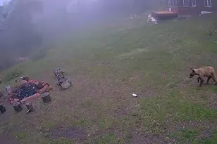 21691 Co Rd 67, Penrose, CO 81240 - Photo 34