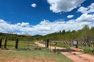 566 Palmer Peak Dr, Fairplay, CO 80440 - Photo 42
