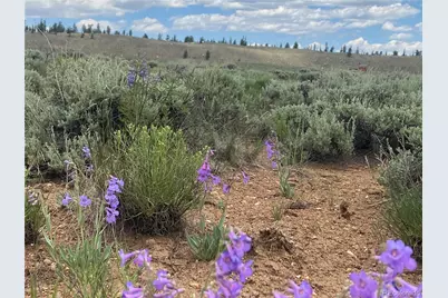 Decagon Loop, Parcel 12, Twin Lakes, CO 81251 - Photo 12