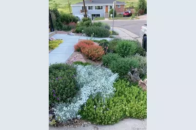 1621 Salvia Street, Golden, CO 80401 - Photo 26