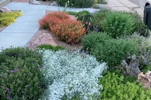 1621 Salvia St, Golden, CO 80401 - Photo 34