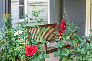 1423 Elizabeth St, Denver, CO 80206 - Photo 4