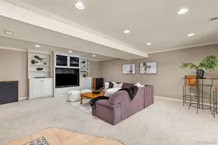 7532 Lakecliff Way, Parker, CO 80134 - Photo 26