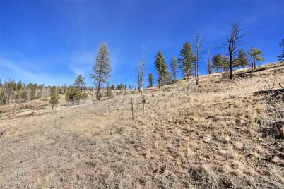 292 Chateau West Drive, Florissant, CO 80816 - Photo 8