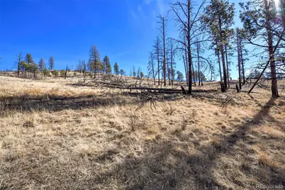292 Chateau West Drive, Florissant, CO 80816 - Photo 4