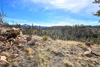 292 Chateau West Drive, Florissant, CO 80816 - Photo 12