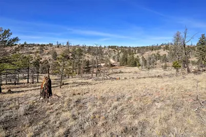 292 Chateau West Drive, Florissant, CO 80816 - Photo 10