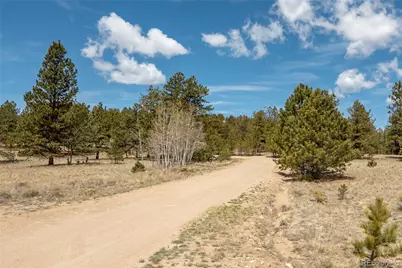 75 Whip Way, Hartsel, CO 80449 - Photo 42