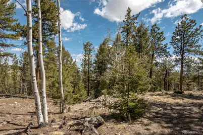 75 Whip Way, Hartsel, CO 80449 - Photo 40
