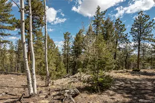 75 Whip Way, Hartsel, CO 80449 - Photo 40