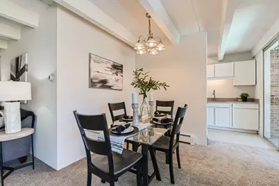 4801 E 9th Avenue #301S, Denver, CO 80220 - Photo 4