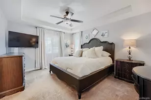 3672 Champagne Ave, Castle Rock, CO 80109 - Photo 14